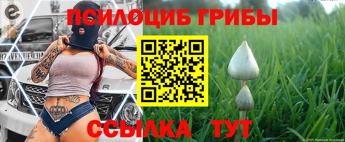 Псилоцибиновые грибы мухоморы  Вход с VPN  Дальнегорск 