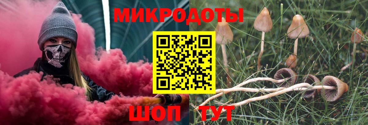 Псилоцибиновые грибы ЛСД Дальнегорск